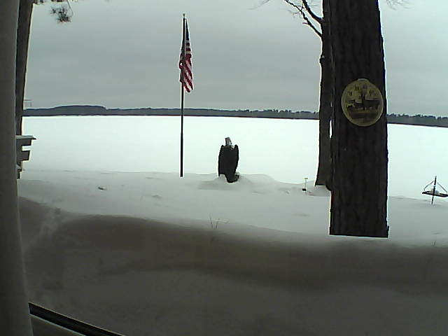 Whiteface Cam Image - Sat, 02/23/2019 3:20pm 