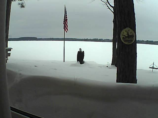 Whiteface Cam Image - Sat, 02/23/2019 3:50pm 