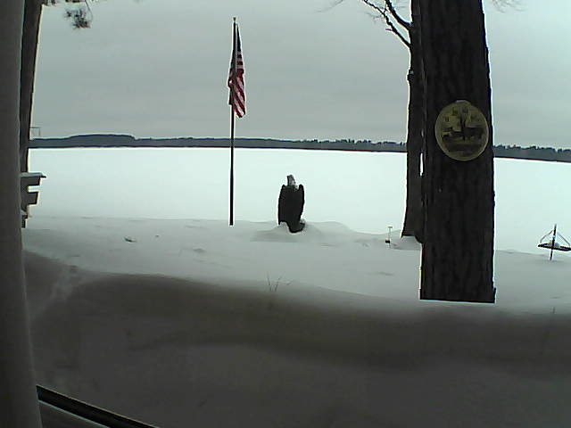 Whiteface Cam Image - Sat, 02/23/2019 4:00pm 