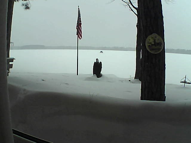 Whiteface Cam Image - Sat, 02/23/2019 4:50pm 