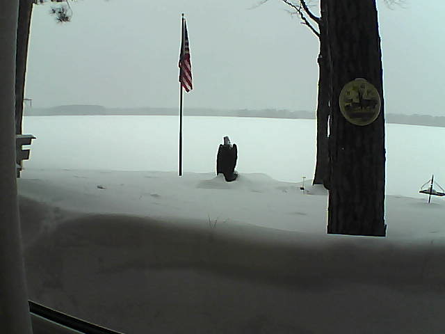 Whiteface Cam Image - Sat, 02/23/2019 5:00pm 