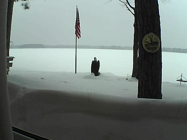 Whiteface Cam Image - Sat, 02/23/2019 5:10pm 