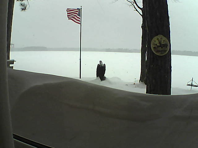 Whiteface Cam Image - Sun, 02/24/2019 7:30am 