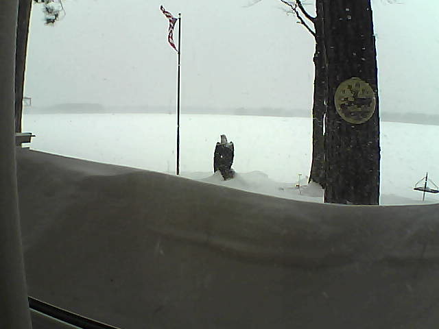 Whiteface Cam Image - Sun, 02/24/2019 8:00am 