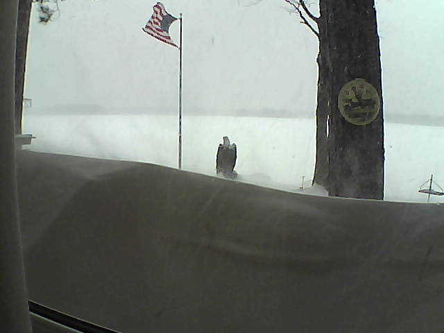 Whiteface Cam Image - Sun, 02/24/2019 8:10am 