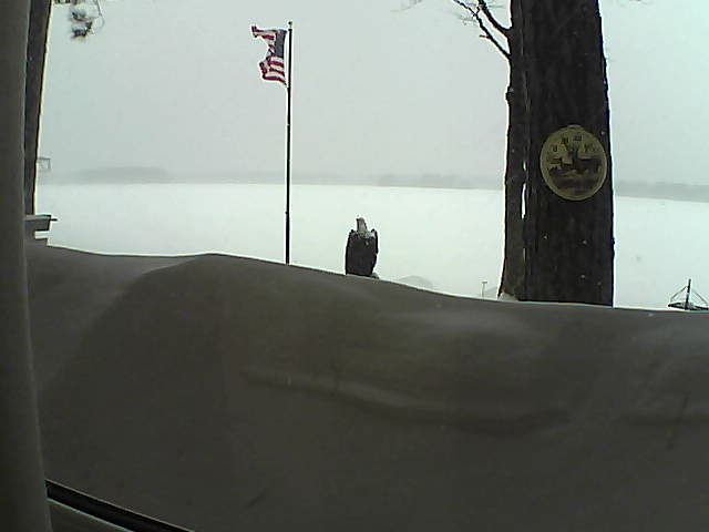 Whiteface Cam Image - Sun, 02/24/2019 8:20am 