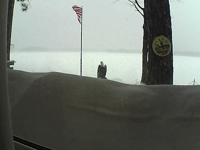 Whiteface Cam Image - Sun, 02/24/2019 8:30am 