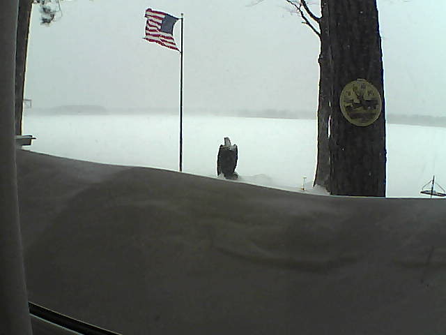 Whiteface Cam Image - Sun, 02/24/2019 9:10am 