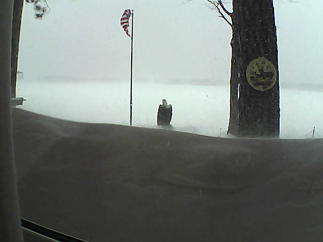 Whiteface Cam Image - Sun, 02/24/2019 9:20am 