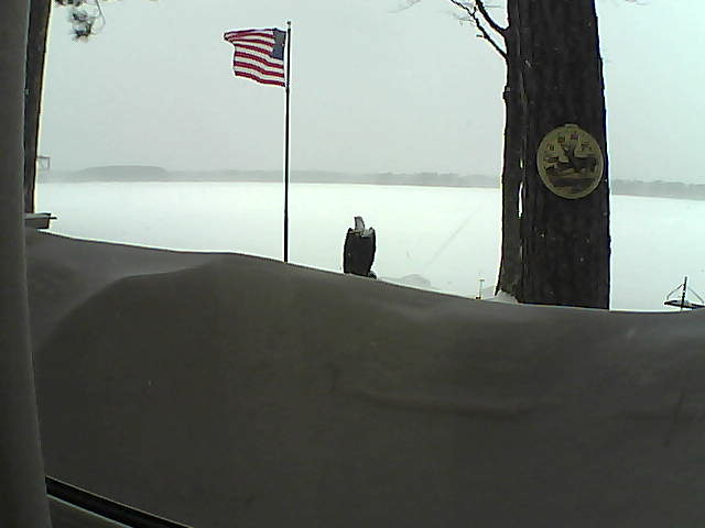 Whiteface Cam Image - Sun, 02/24/2019 9:50am 