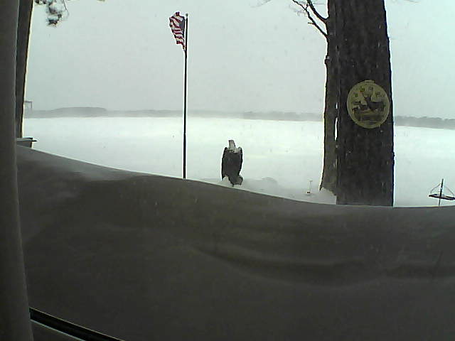 Whiteface Cam Image - Sun, 02/24/2019 10:10am 