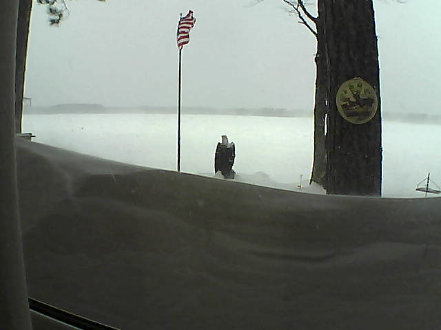 Whiteface Cam Image - Sun, 02/24/2019 10:20am 