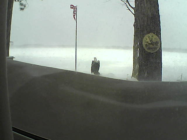 Whiteface Cam Image - Sun, 02/24/2019 10:30am 