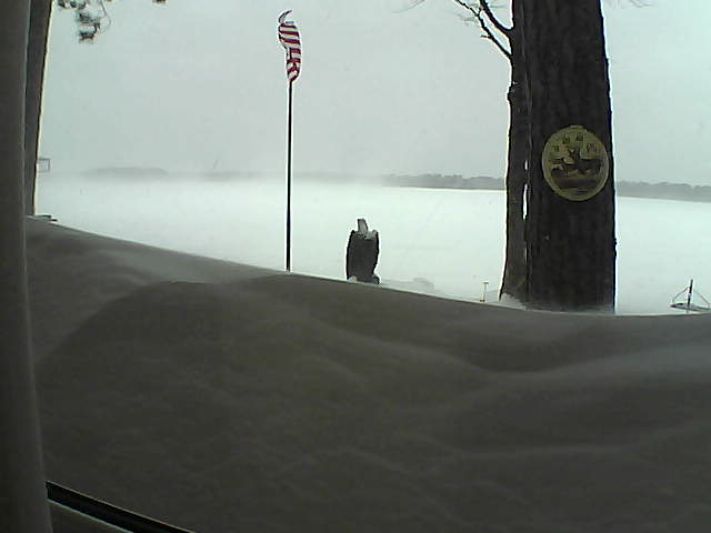 Whiteface Cam Image - Sun, 02/24/2019 11:00am 