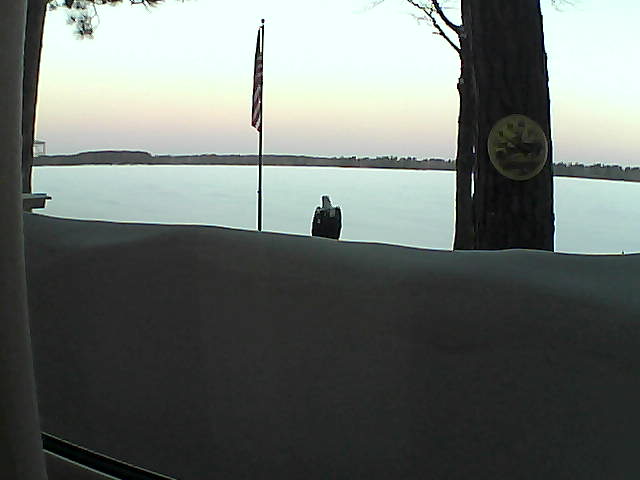 Whiteface Cam Image - Sat, 03/02/2019 6:48am 