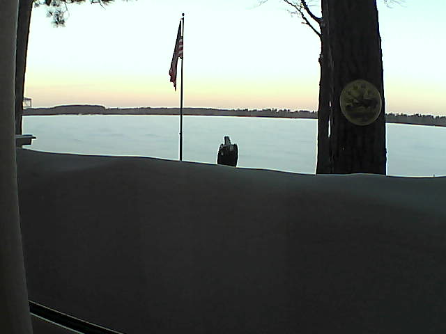 Whiteface Cam Image - Sat, 03/02/2019 6:58am 