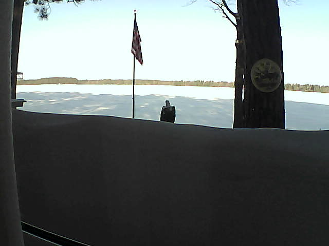 Whiteface Cam Image - Sat, 03/02/2019 8:08am 