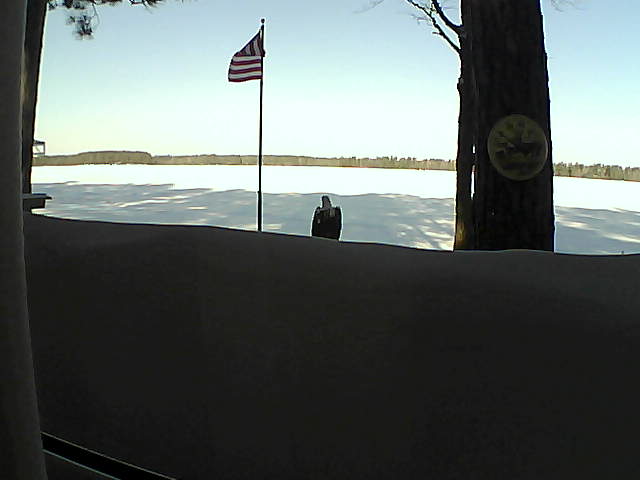 Whiteface Cam Image - Sat, 03/02/2019 8:38am 