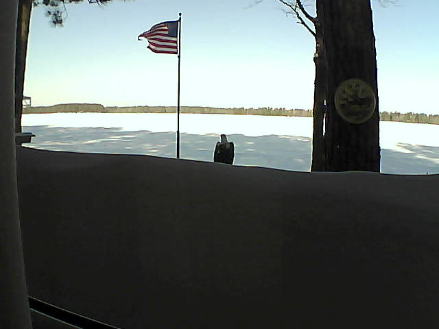 Whiteface Cam Image - Sat, 03/02/2019 8:48am 