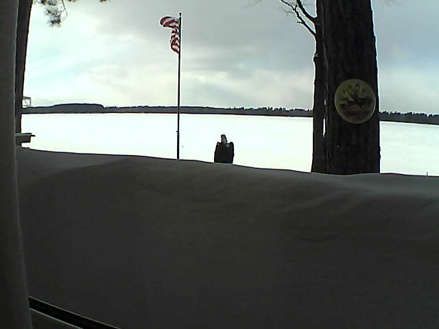 Whiteface Cam Image - Sat, 03/02/2019 3:39pm 