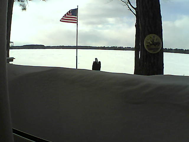 Whiteface Cam Image - Sat, 03/02/2019 3:49pm 