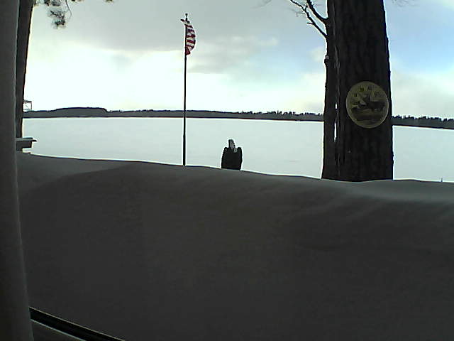 Whiteface Cam Image - Sat, 03/02/2019 4:19pm 