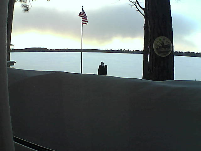 Whiteface Cam Image - Sat, 03/02/2019 5:09pm 