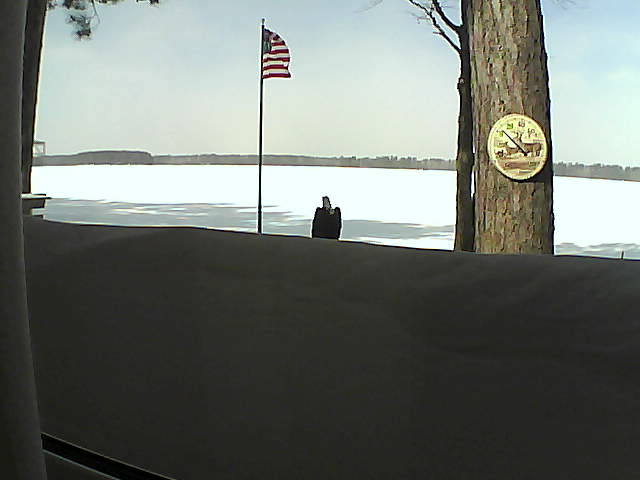 Whiteface Cam Image - Sun, 03/03/2019 11:17am 