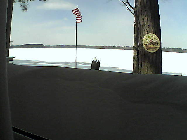 Whiteface Cam Image - Sun, 03/03/2019 12:27pm 