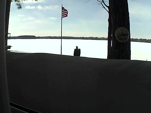 Whiteface Cam Image - Sun, 03/03/2019 3:17pm 