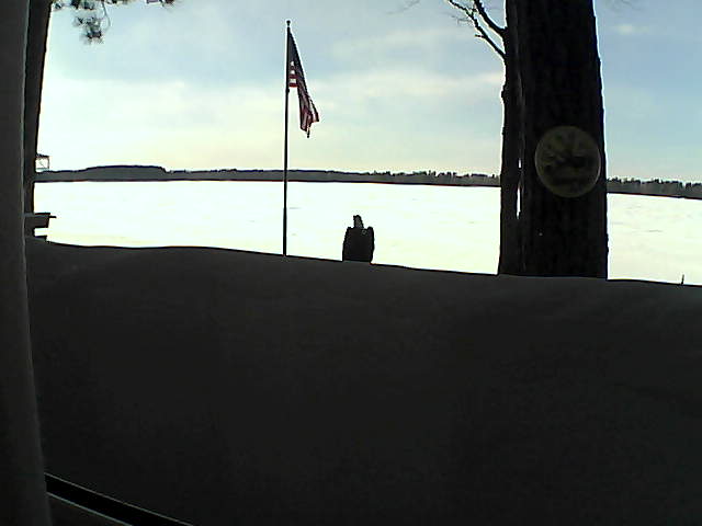 Whiteface Cam Image - Sun, 03/03/2019 3:57pm 