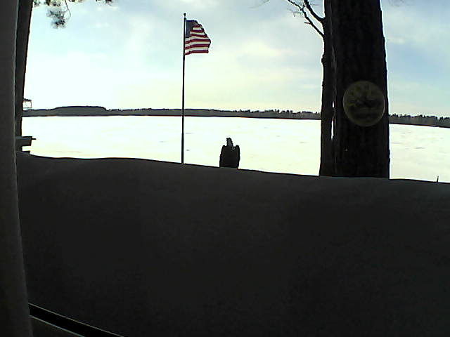 Whiteface Cam Image - Sun, 03/03/2019 4:07pm 