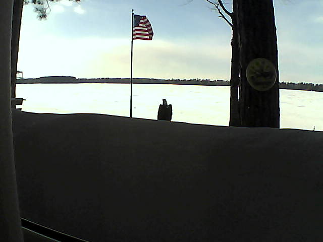 Whiteface Cam Image - Sun, 03/03/2019 4:17pm 