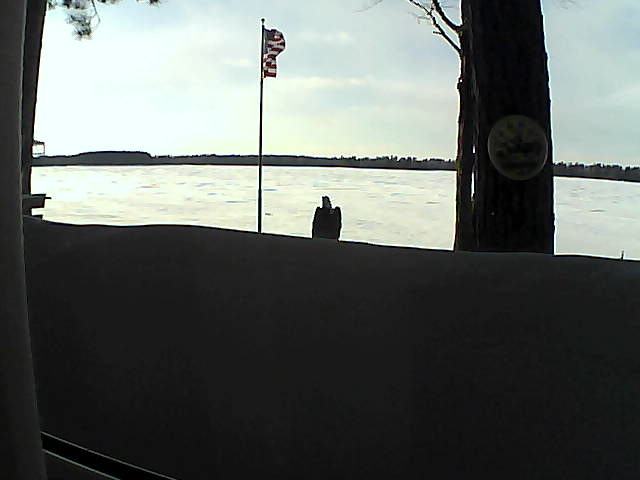 Whiteface Cam Image - Sun, 03/03/2019 4:37pm 