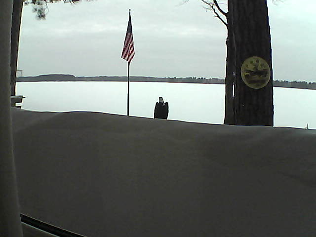 Whiteface Cam Image - Mon, 03/04/2019 6:49am 