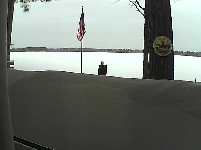 Whiteface Cam Image - Mon, 03/04/2019 7:29am 