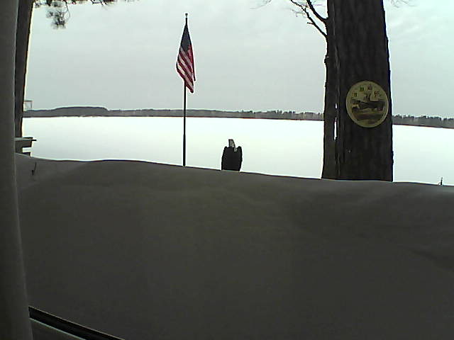 Whiteface Cam Image - Mon, 03/04/2019 7:39am 