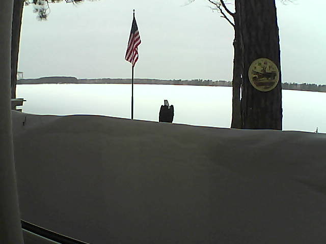 Whiteface Cam Image - Mon, 03/04/2019 7:49am 