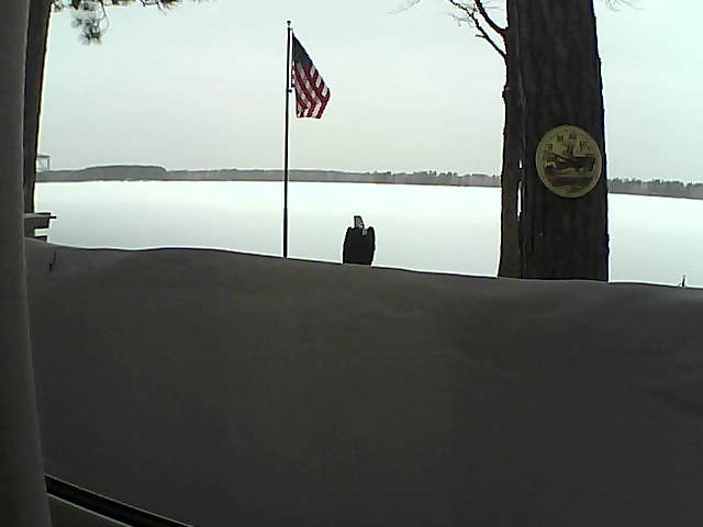 Whiteface Cam Image - Mon, 03/04/2019 8:39am 