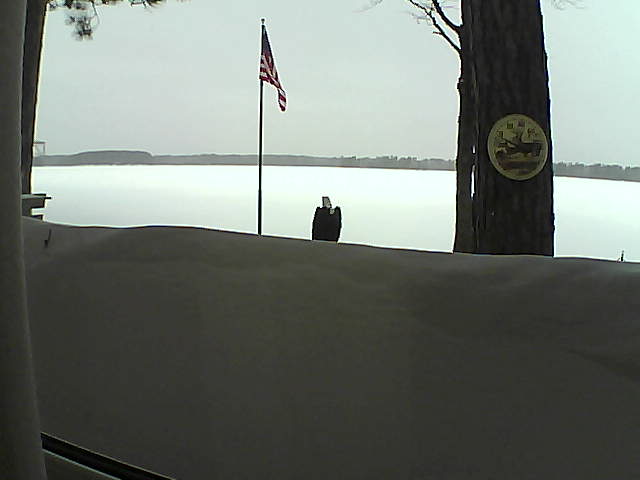 Whiteface Cam Image - Mon, 03/04/2019 9:09am 