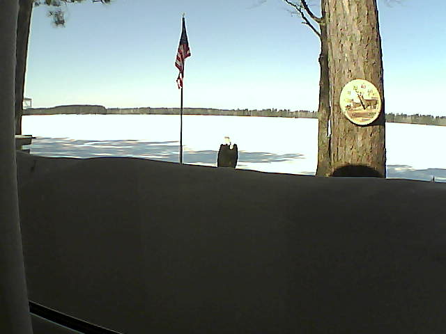 Whiteface Cam Image - Mon, 03/04/2019 10:59am 