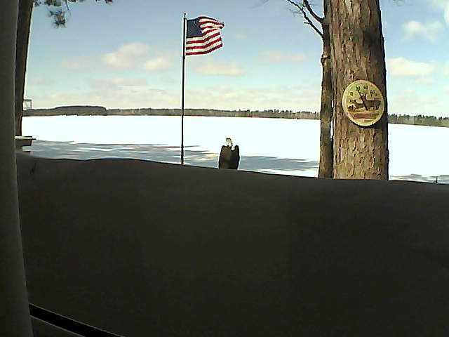 Whiteface Cam Image - Mon, 03/04/2019 11:29am 