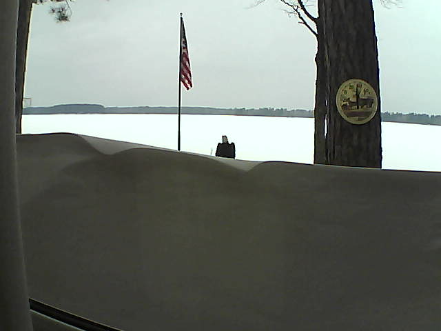 Whiteface Cam Image - Sat, 03/09/2019 10:55am 