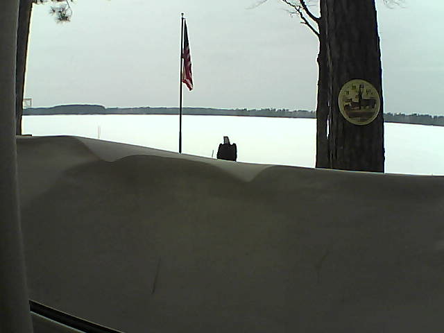 Whiteface Cam Image - Sat, 03/09/2019 1:55pm 