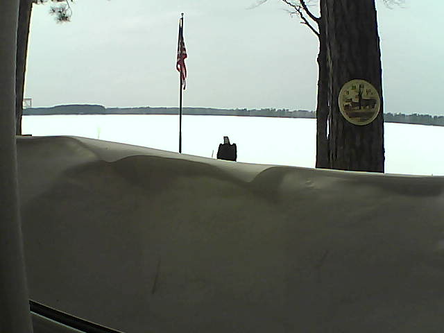 Whiteface Cam Image - Sat, 03/09/2019 2:05pm 