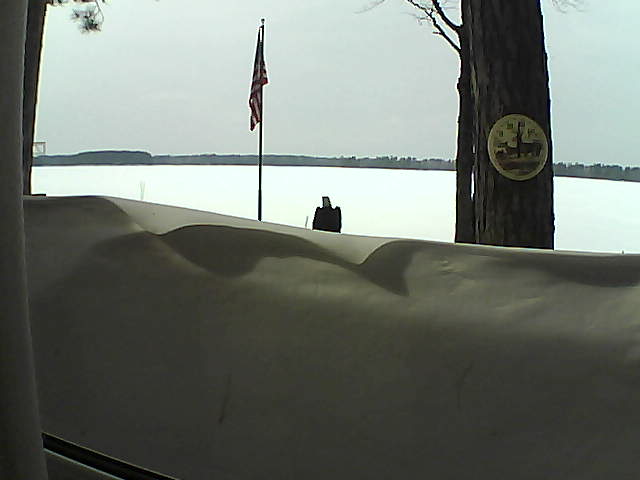 Whiteface Cam Image - Sat, 03/09/2019 2:15pm 