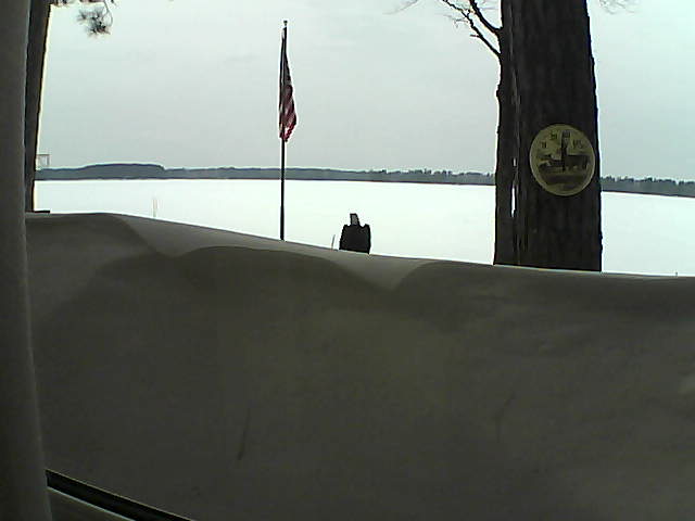 Whiteface Cam Image - Sat, 03/09/2019 2:45pm 