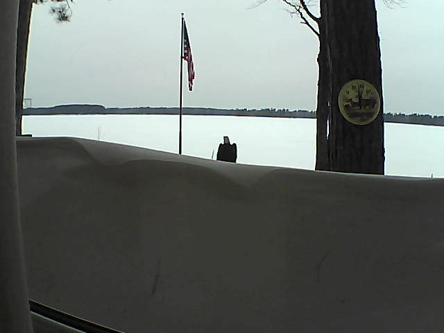 Whiteface Cam Image - Sat, 03/09/2019 4:25pm 