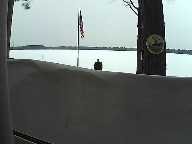 Whiteface Cam Image - Sat, 03/09/2019 5:05pm 