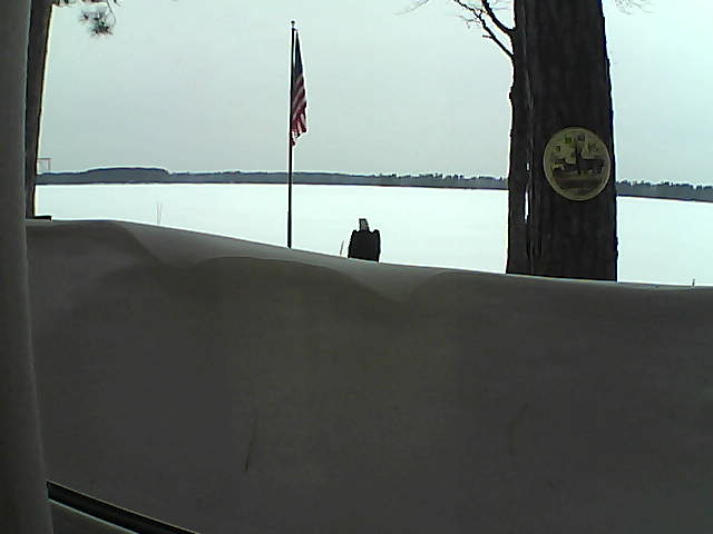 Whiteface Cam Image - Sat, 03/09/2019 5:15pm 